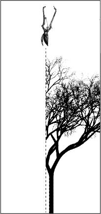 Eugenics and forced sterilization